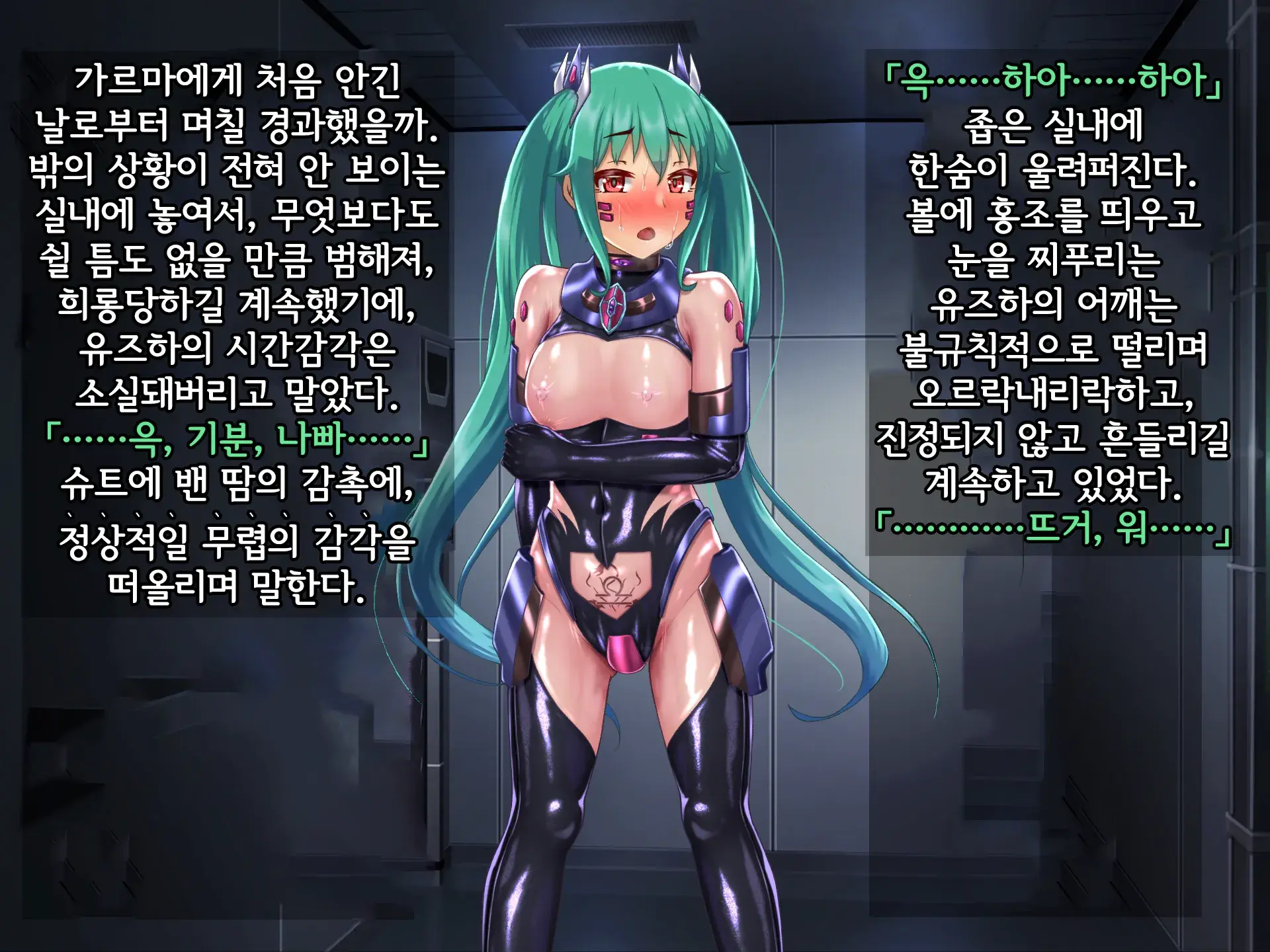 Kisou Seiki Asteria 2 Gyakushin No Gyaida En 휘장성희 아스텔리아2